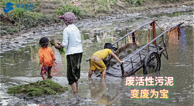 废活性污泥